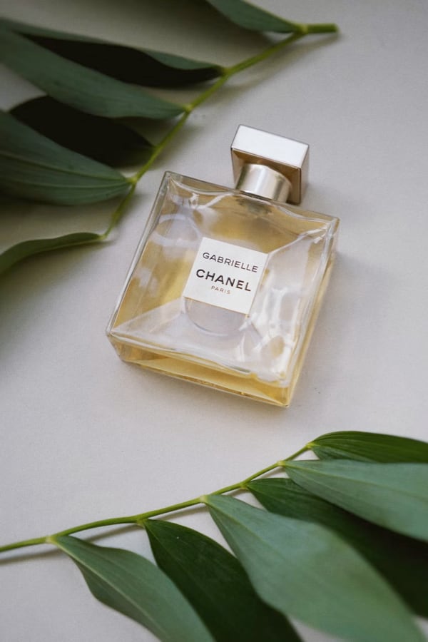 A square bottle of Chanel Gabrielle Perfume and some leaves on a white surface